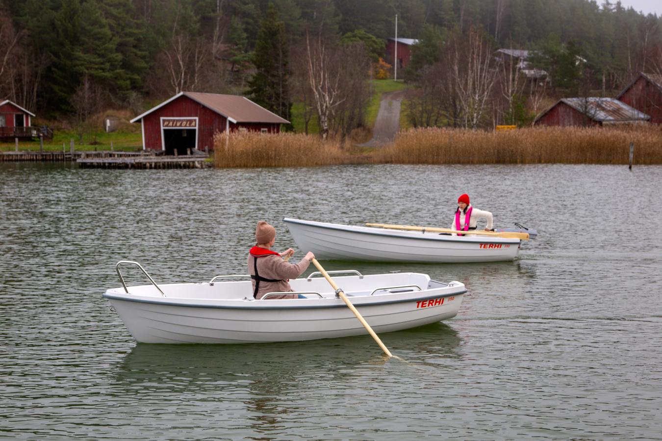 Galerie Übersicht: Terhi 390 - Bild 3