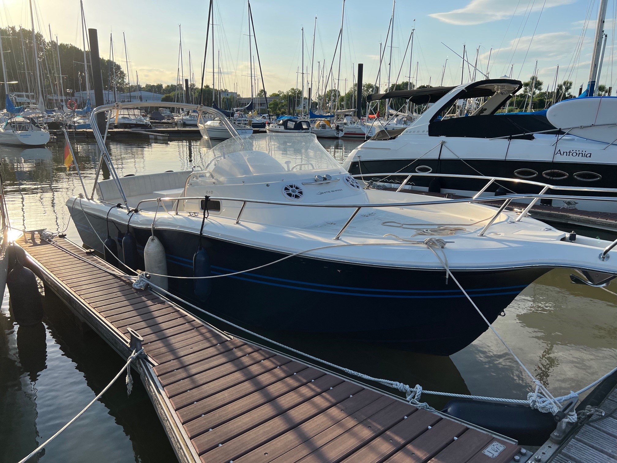 Kelt White Shark 248 SD