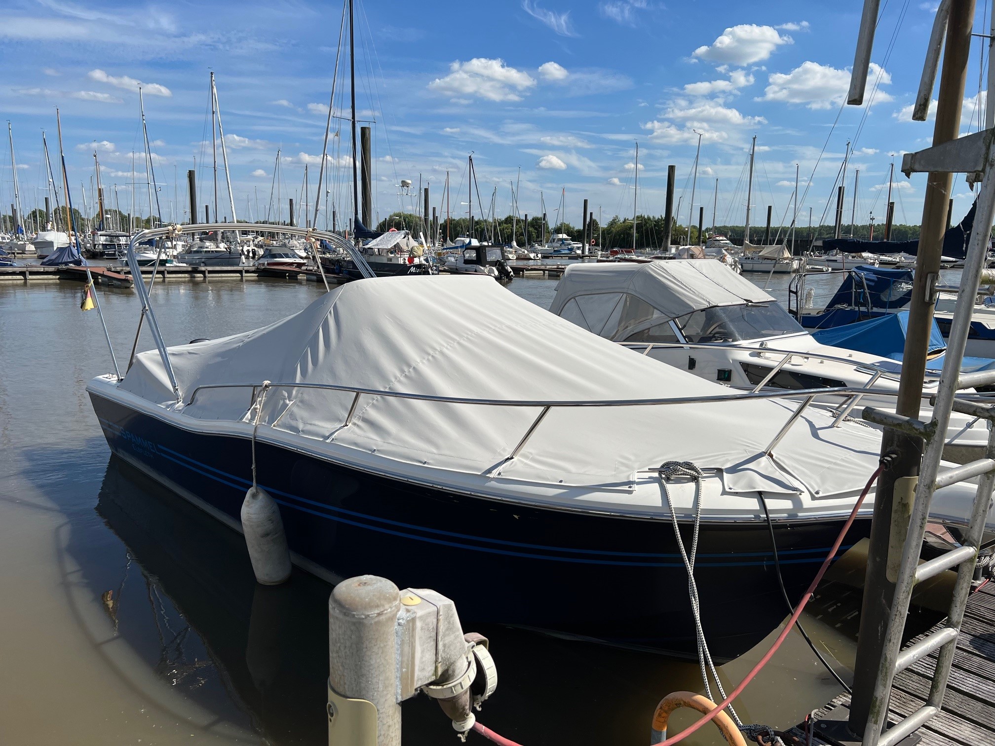 Galerie Übersicht: Kelt White Shark 248 SD - Bild 2