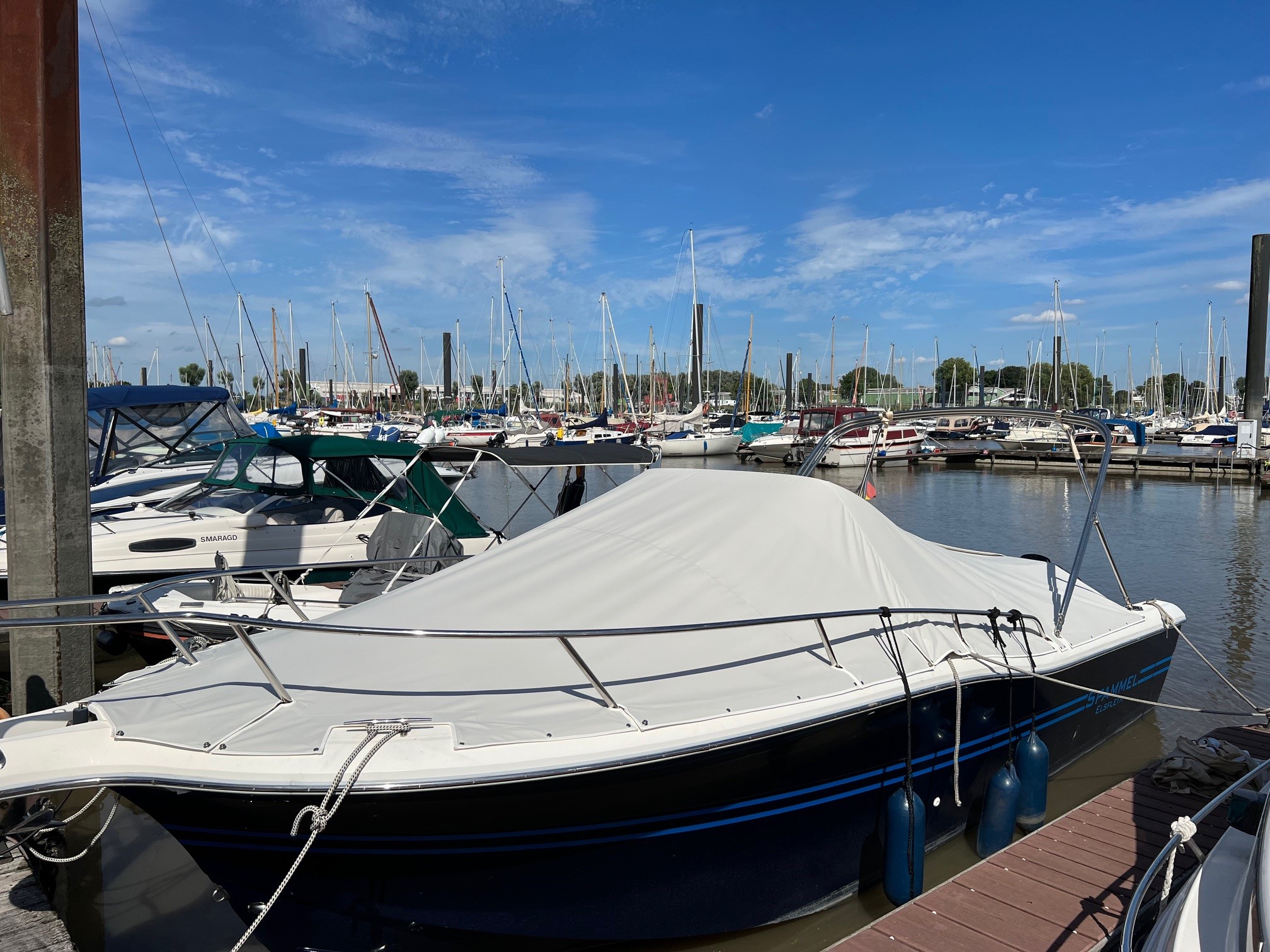 Galerie Übersicht: Kelt White Shark 248 SD - Bild 4