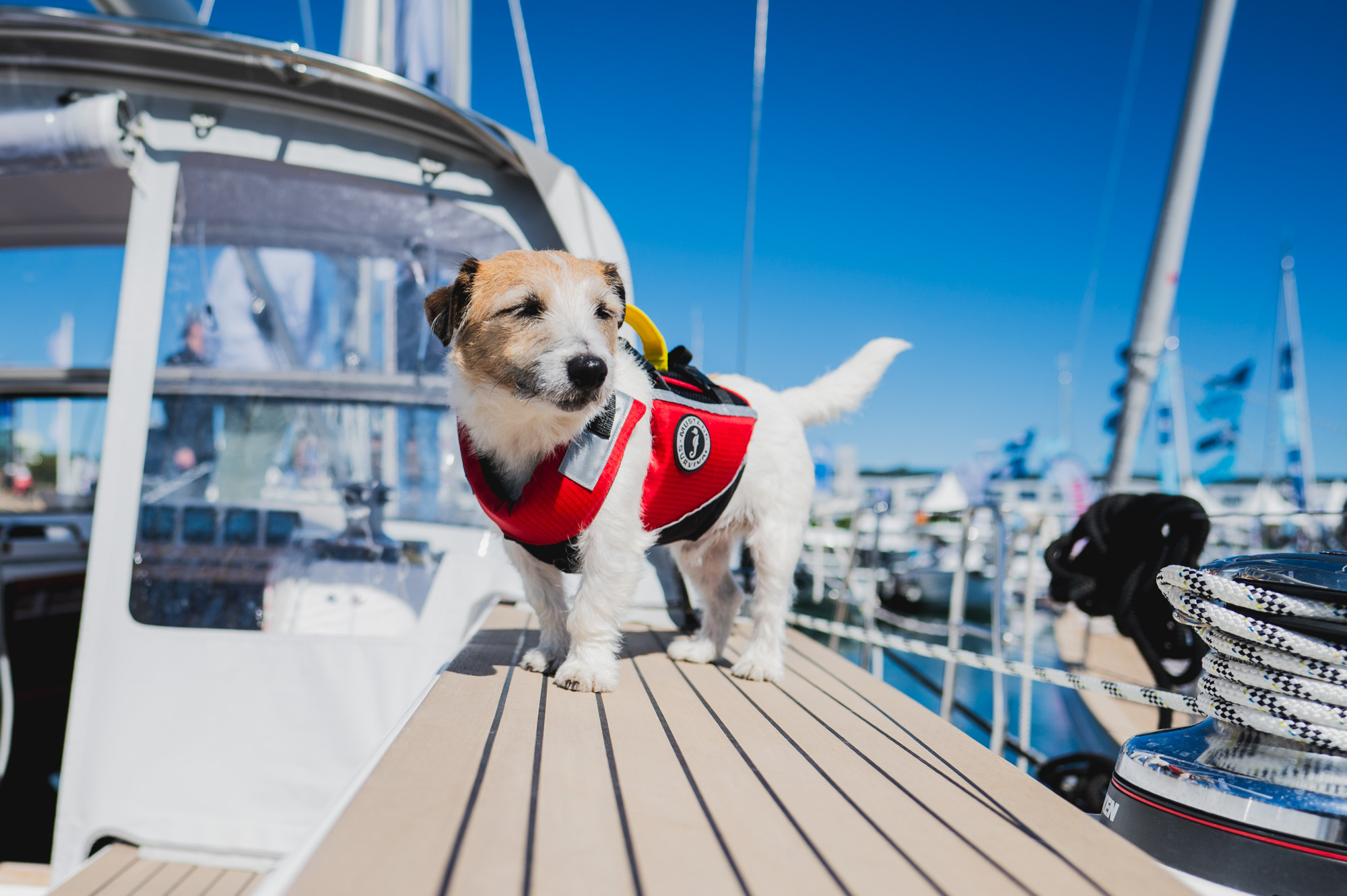 aYF26 Stimmung 1 copyright yachtfestival365
