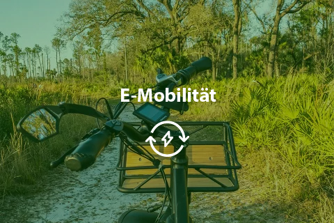 Delphia 10 emobiltaet