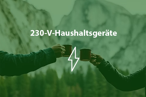 Delphia 11 hasuhalt