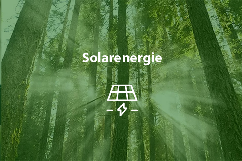 Delphia 11 solar