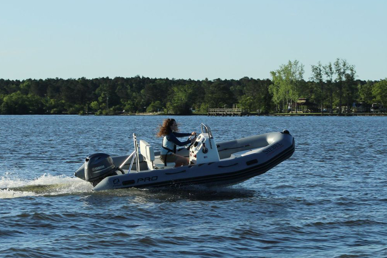 Zodiac PRO 500 Classic