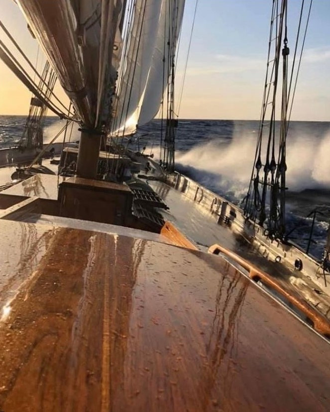 Epifanes Klarlack richtig pflegen beitrag bild 003